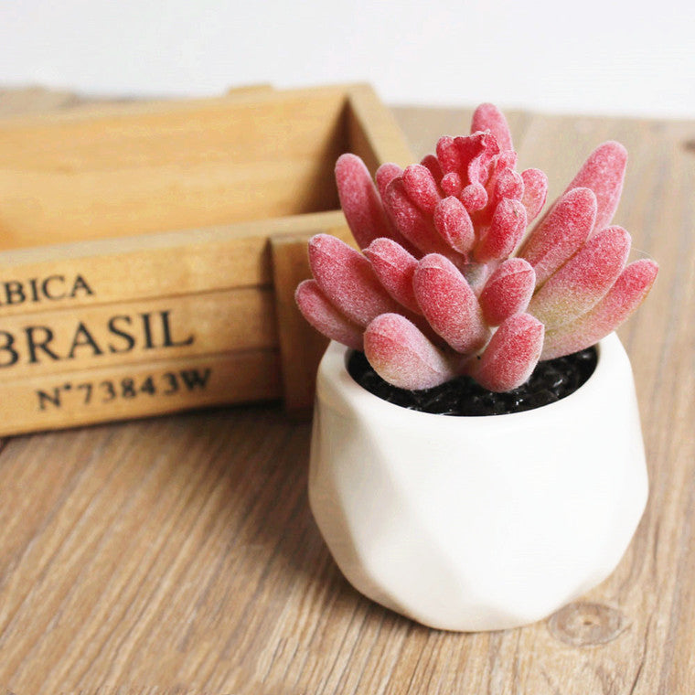 Artificial Succulent Bonsai Creative Ornaments for Home Table Garden Decoration Artificial Plants with Pot